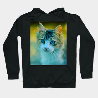 Cute kitten Hoodie